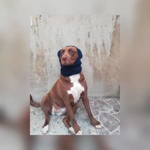 Meet your Posher, Lorena